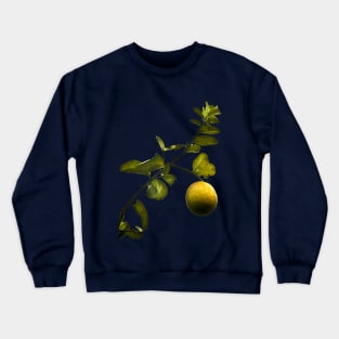 Lemon Tree at Night Crewneck Sweatshirt